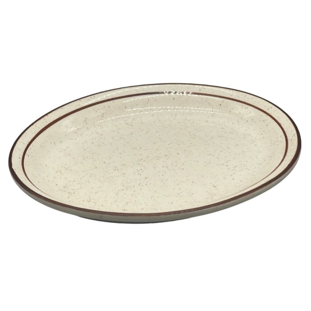set of 2 Ultima plates oval shape China glass dots lining white brown 11.5" x 9"